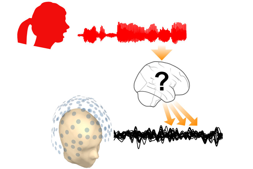 User-friendly open-source pipeline for anatomically precise analysis of single-trial M/EEG